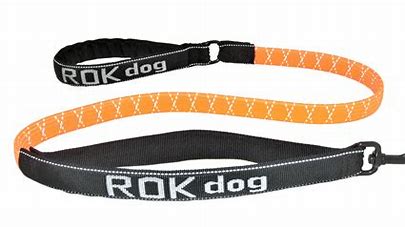 ROKdog 54" stretch control Leash