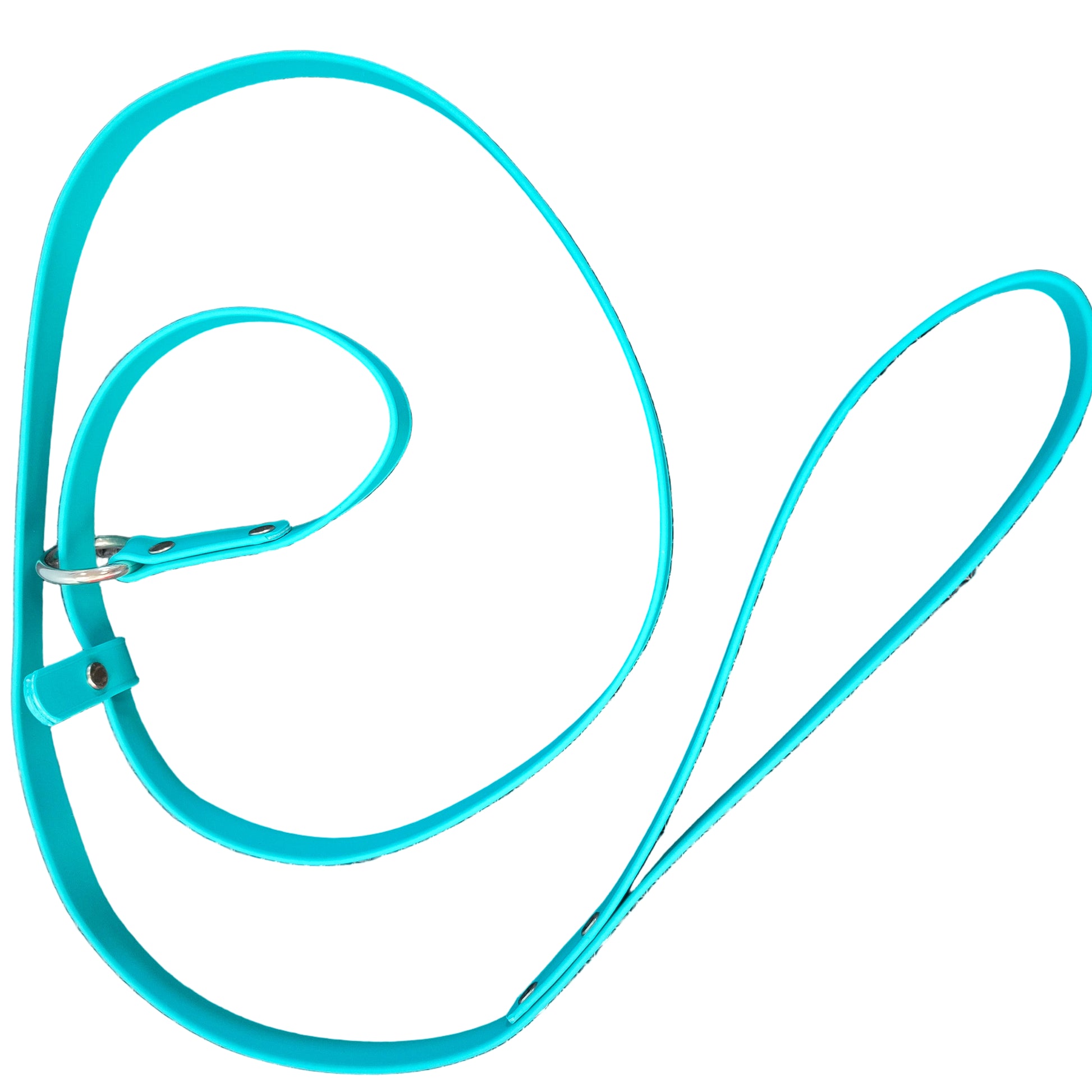 teal-slip-lead-for-dogs-and-cats