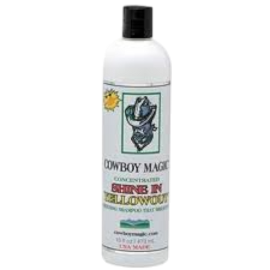 Cowboy Magic Shine in Yellowout